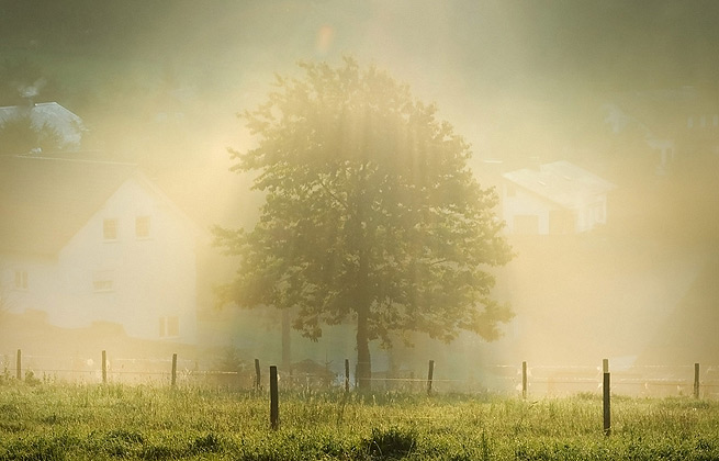 【破解补丁】免费的网页攻击平台