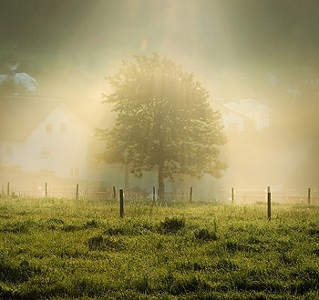 最实惠渠道的网页攻击平台