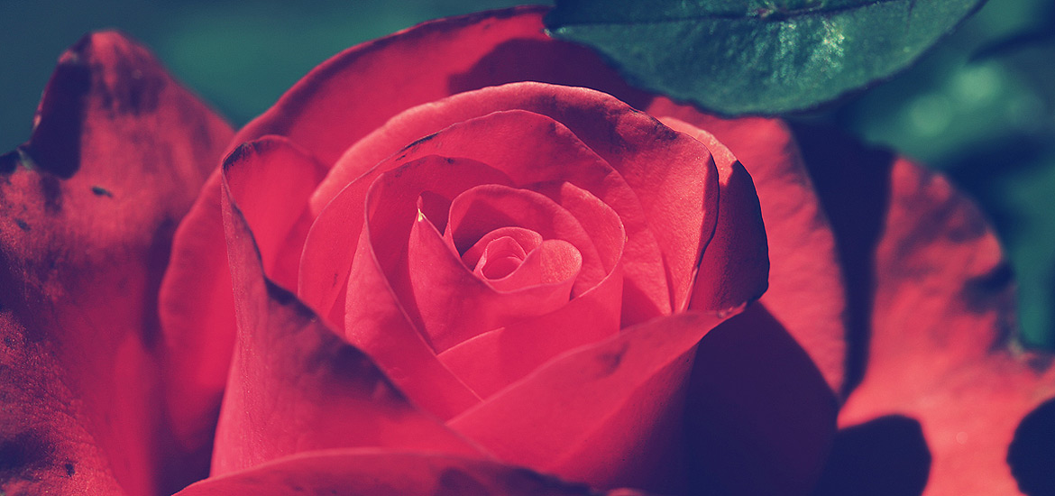 无感知升级的网页攻击平台